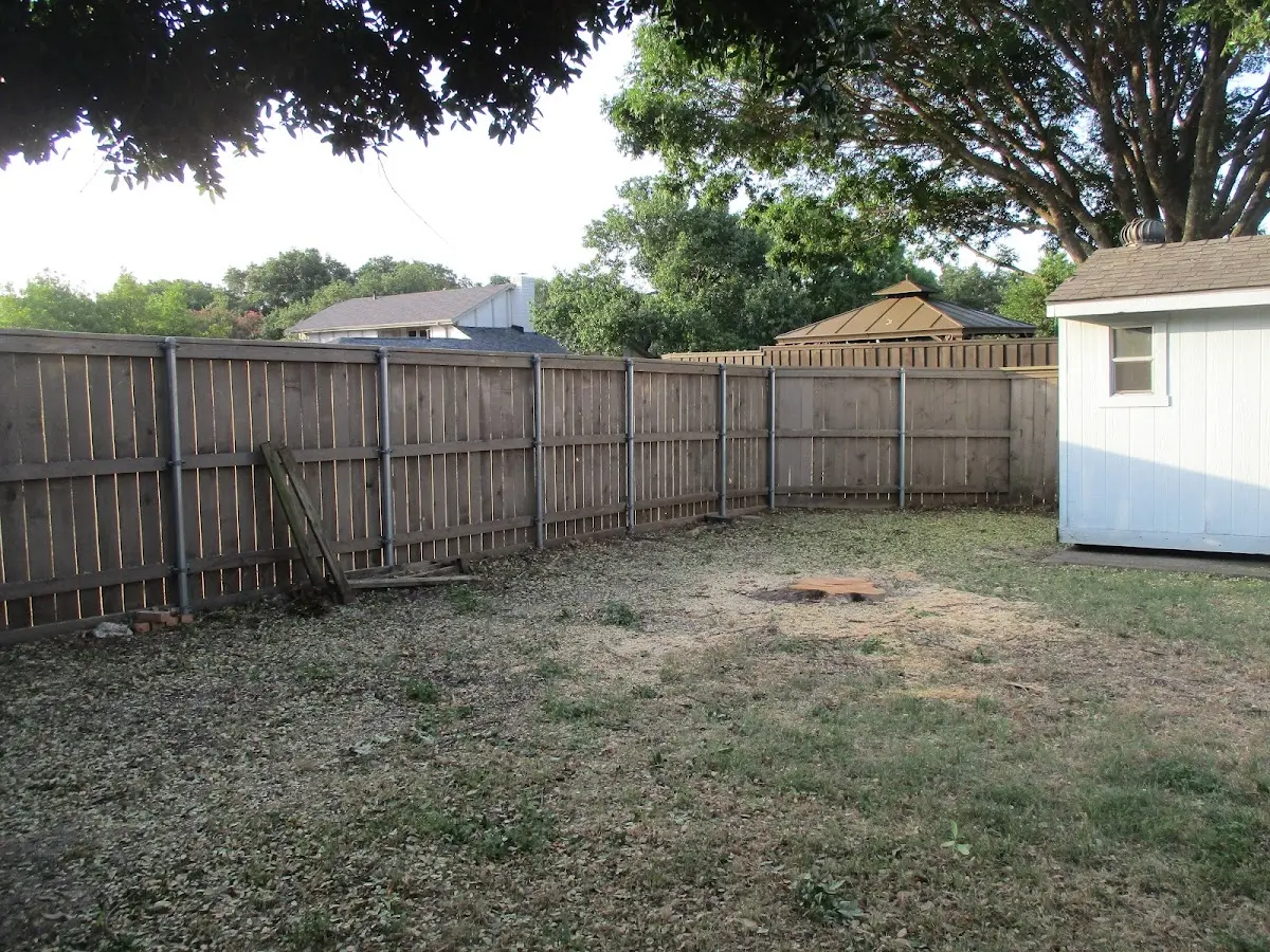 Cleared yard after professional tree removal in Hillsboro